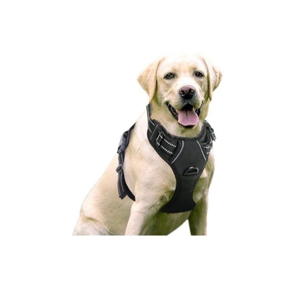 Large Pupteck escape proof training Harness handle up on top with long leash New